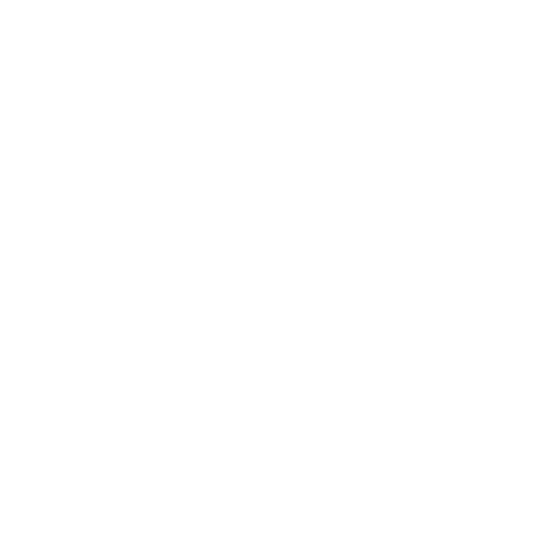 AnchorS